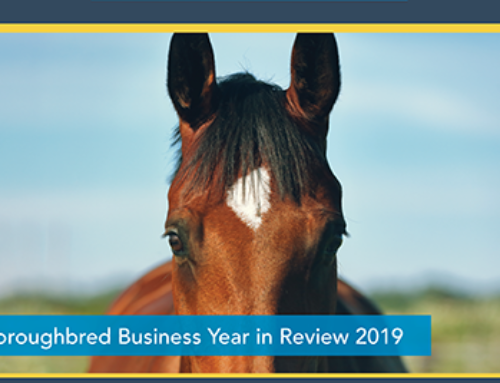 Thoroughbred Business Year in Review 2019