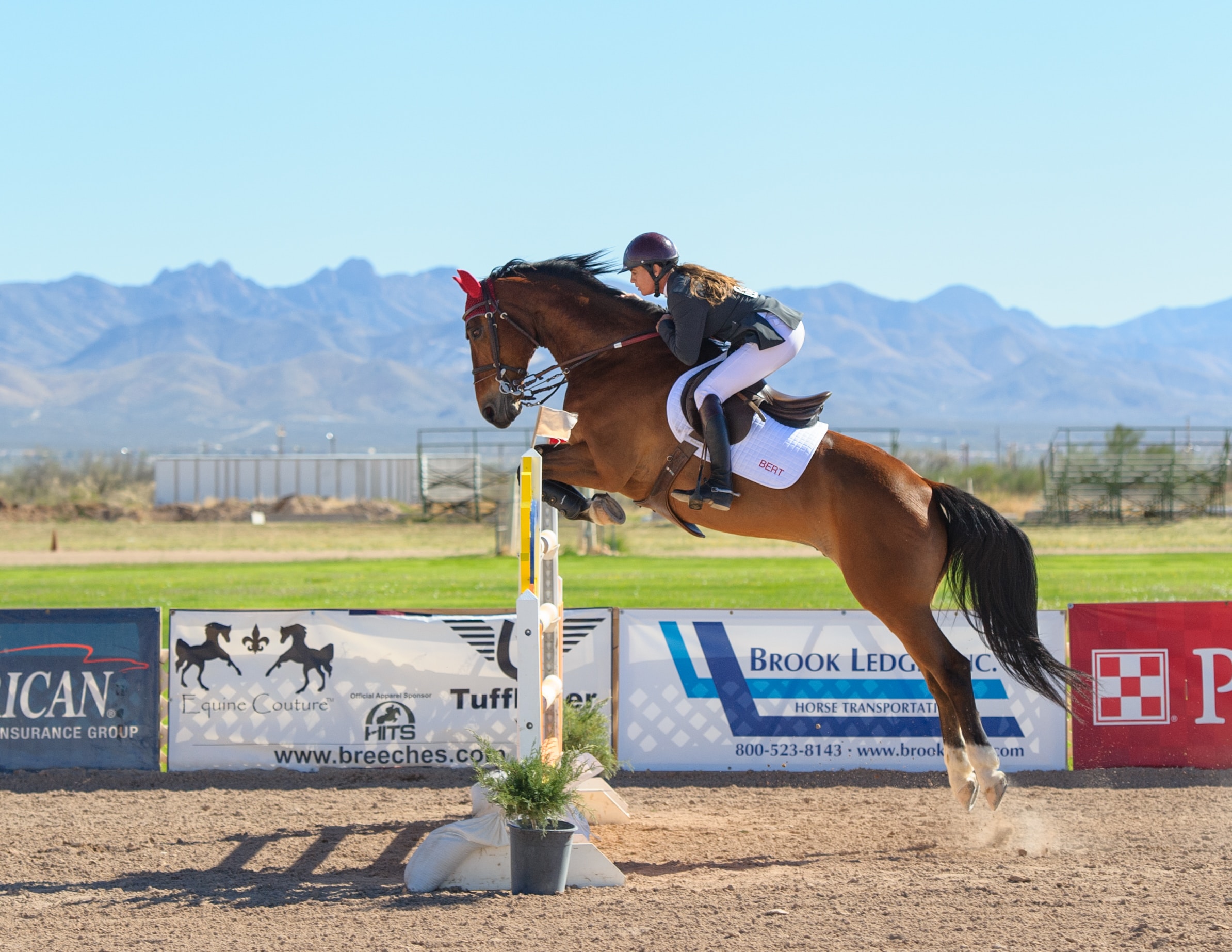 Equestrian and horse jumping over a hurdle at a show.