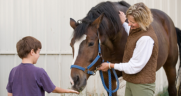 dorton Tax benefits for charitable donations of horses
