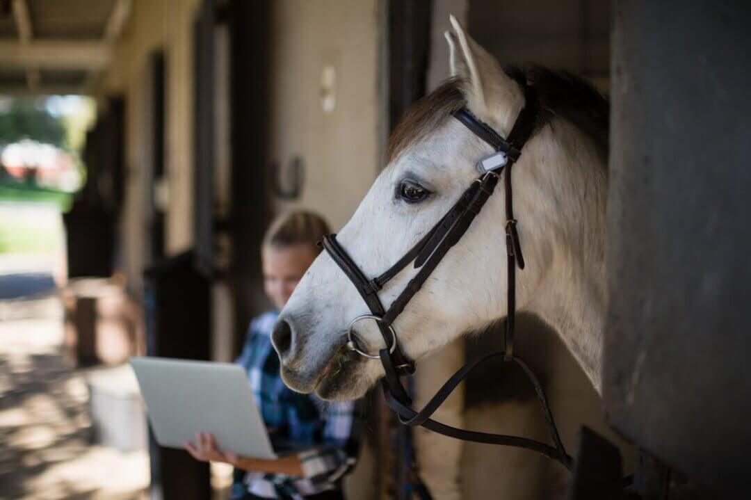 Woman holding a laptop with a horse in a stall in the foreground.
