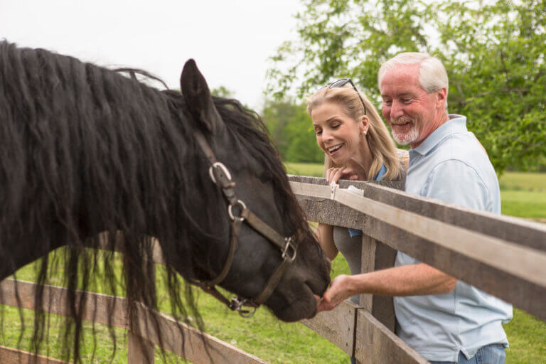 dorton 2025 Year-End Tax Planning for Horse & Farm Owners