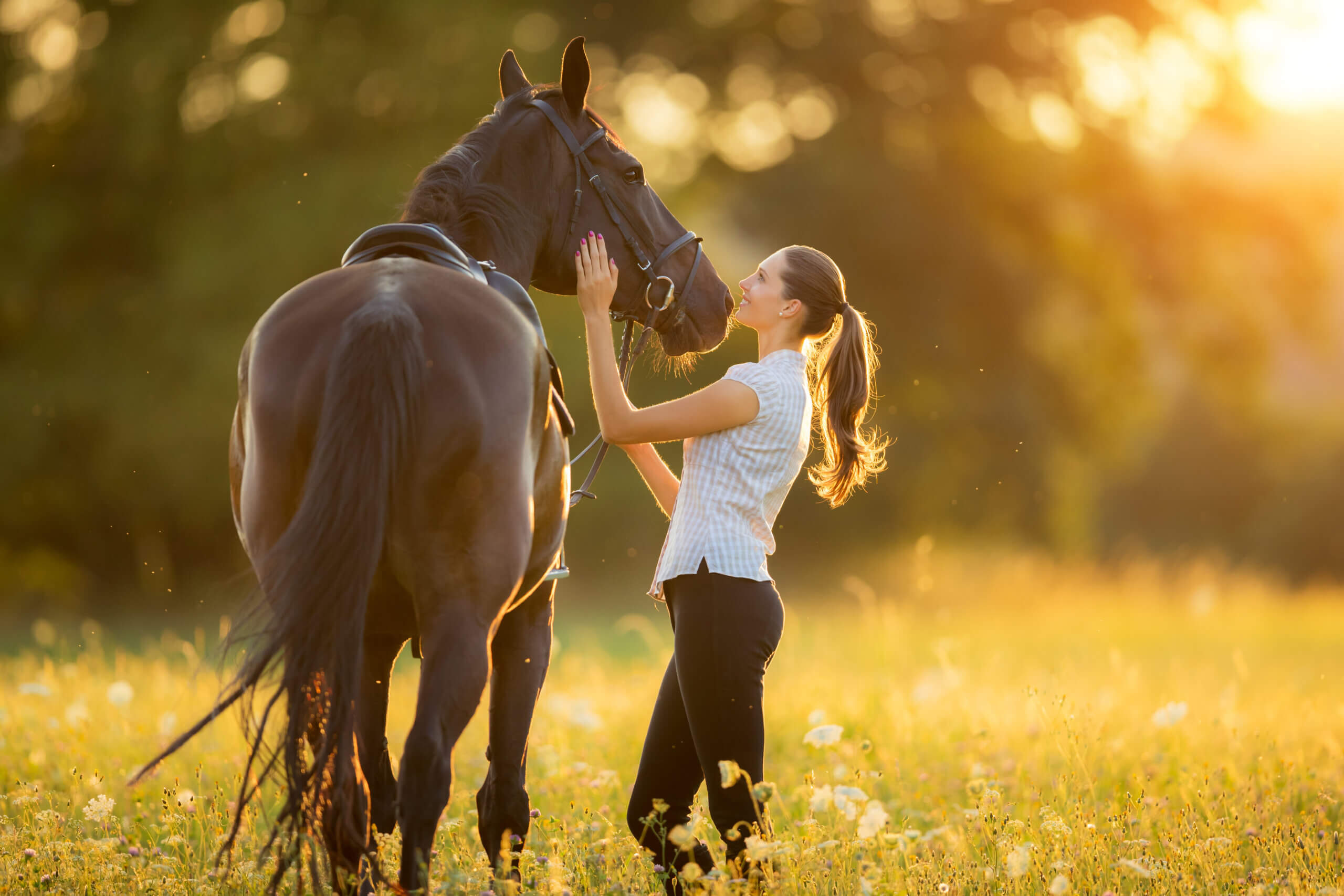 dorton Choosing the Right Accounting Software: A Make‑or‑Break Decision for Equine Businesses 