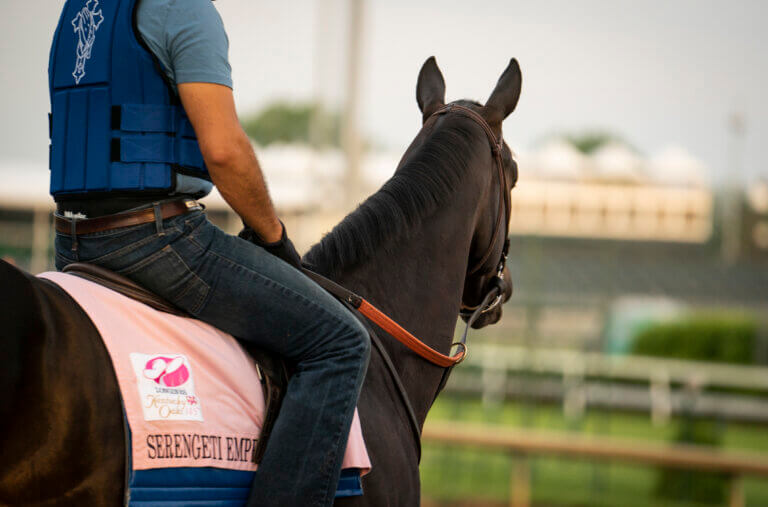 dorton How Data and AI Are Transforming the Equine Industry: From the Stable to the Starting Gate 