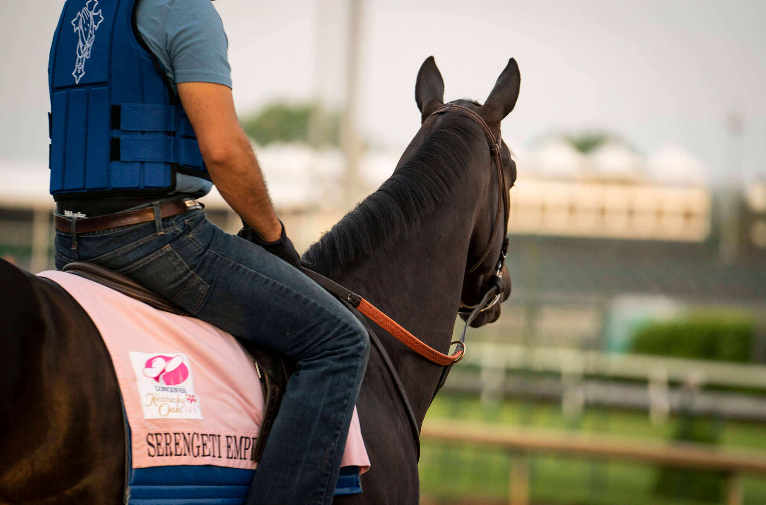 dorton How Data and AI Are Transforming the Equine Industry: From the Stable to the Starting Gate 