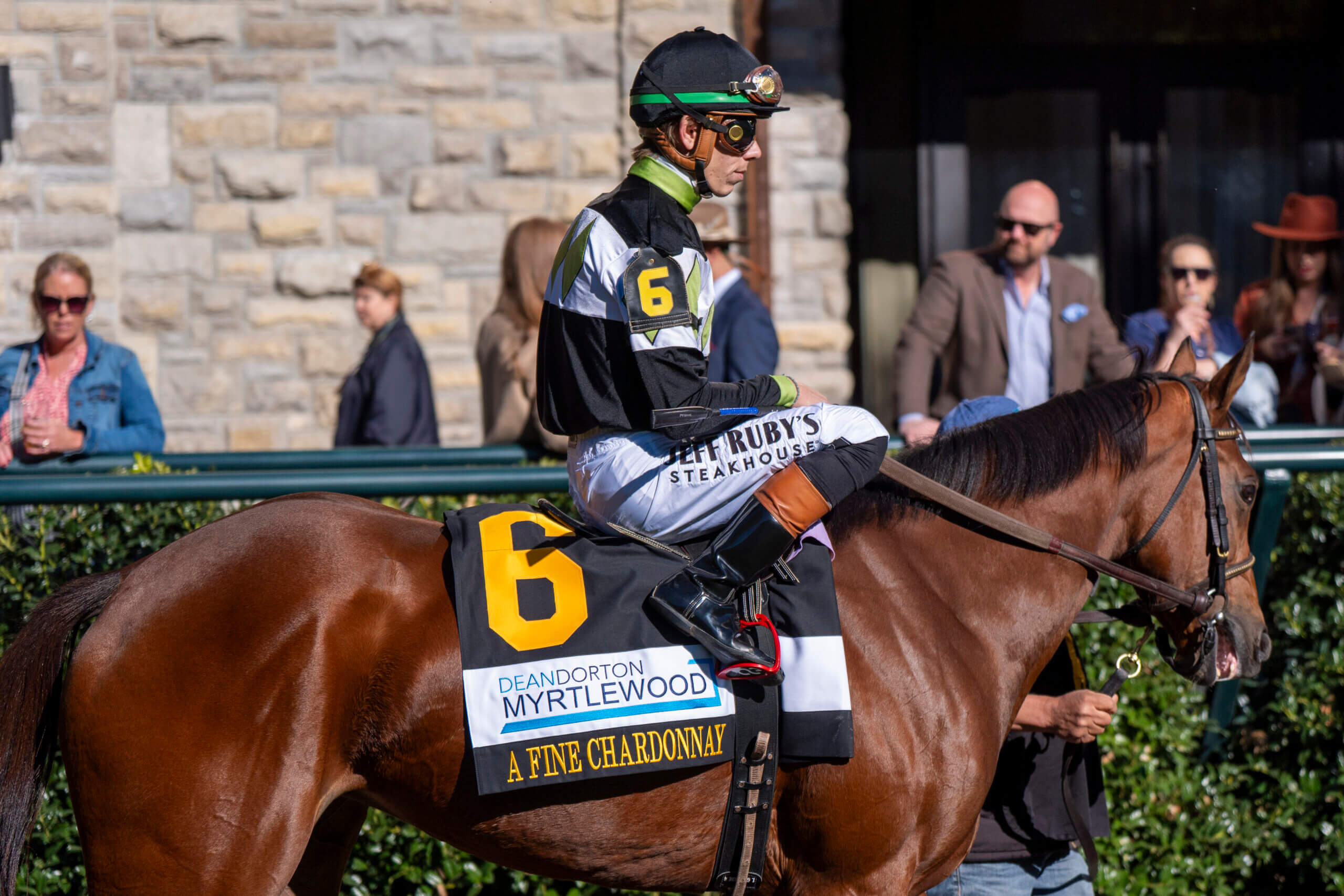 dorton Before You Buy: Depreciation Planning for Horses, Farms, and Equipment