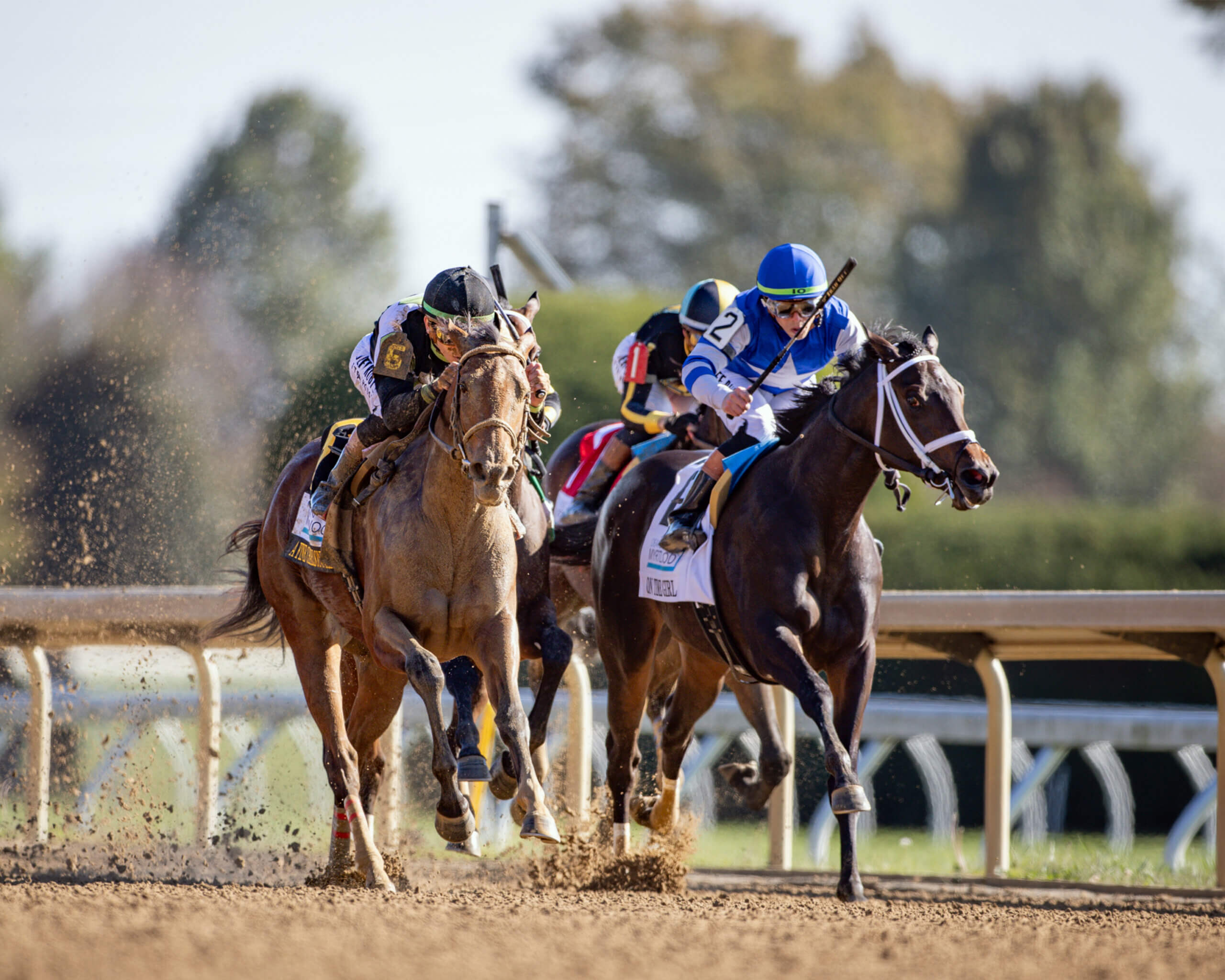 dorton The Story Beyond the Numbers – Operational Intelligence for Equine Business
